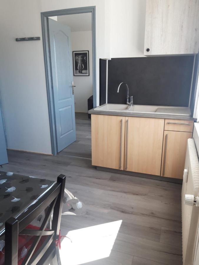 Gambetta Insolite Apartman Chambéry Kültér fotó