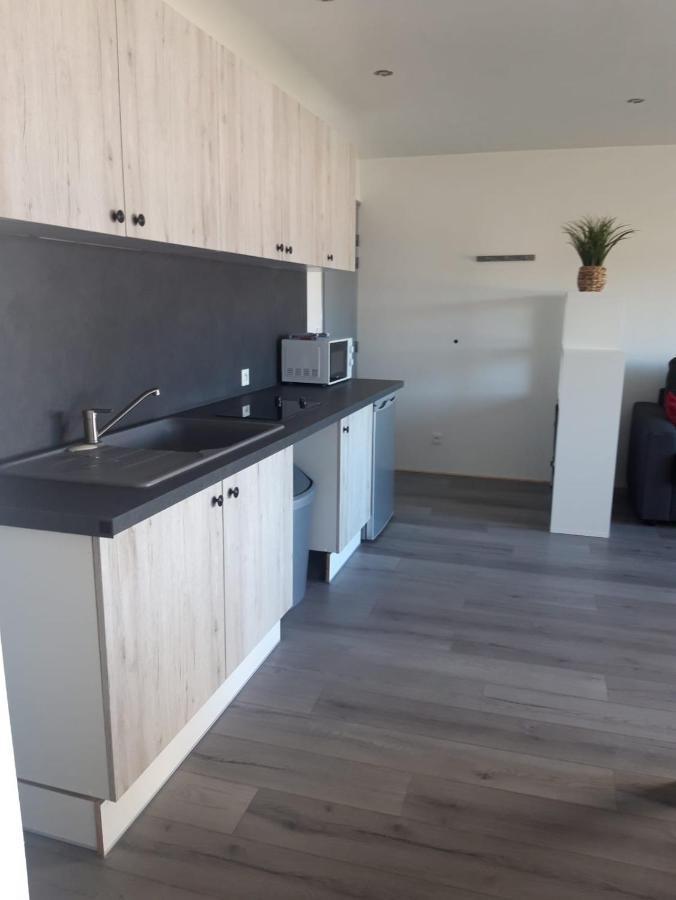 Gambetta Insolite Apartman Chambéry Kültér fotó