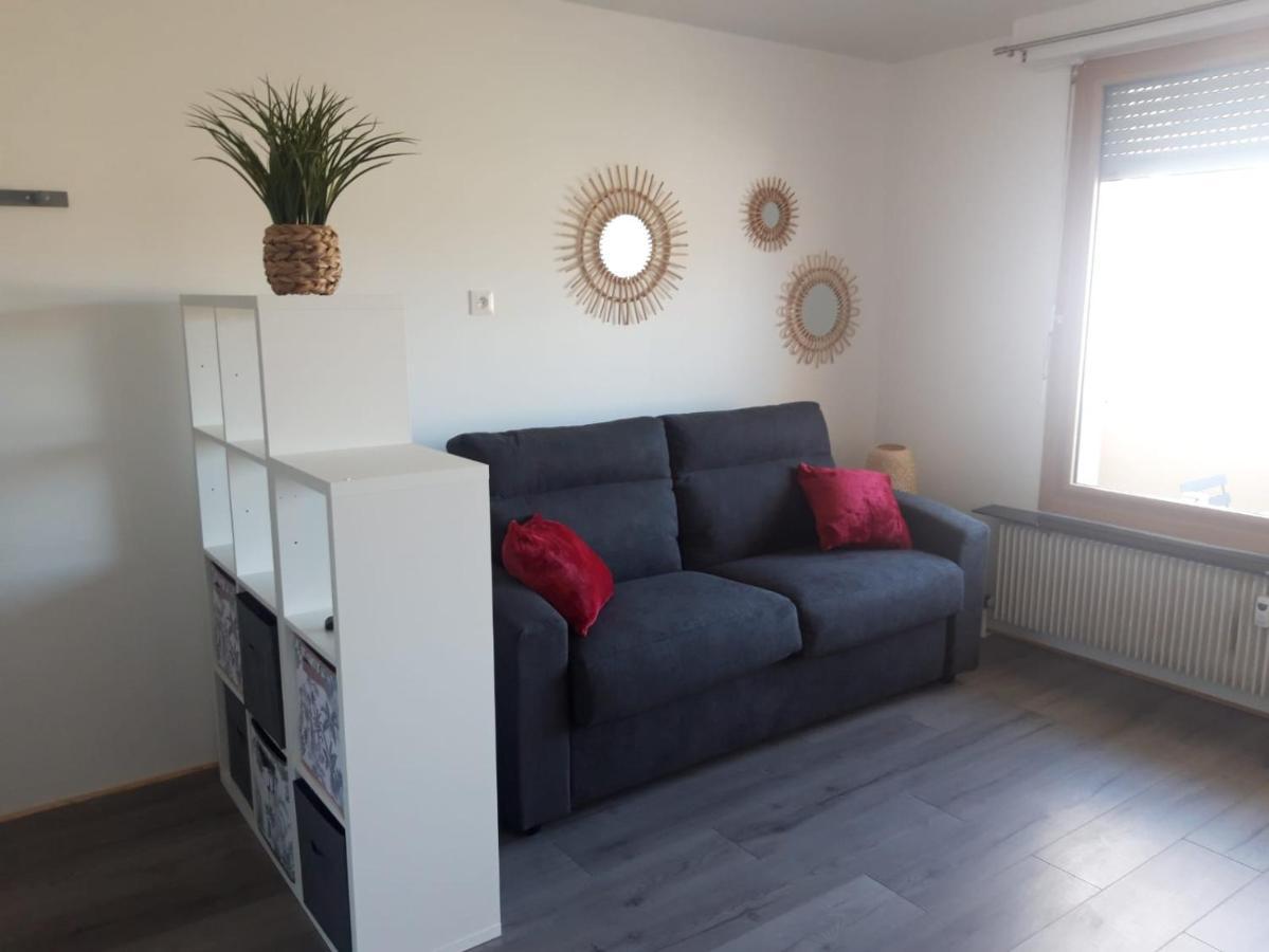 Gambetta Insolite Apartman Chambéry Kültér fotó