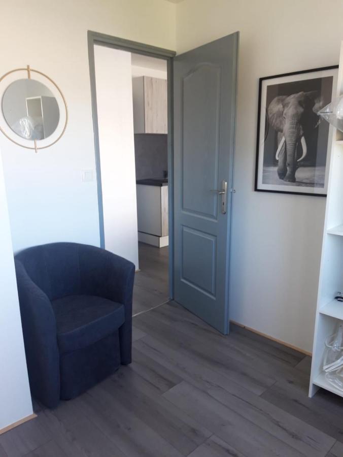 Gambetta Insolite Apartman Chambéry Kültér fotó